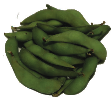 Edamame