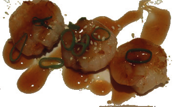 Teppan Garnalen