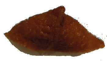 Inari