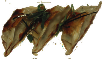 Japanse Gyoza