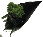 Wakame