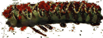 Dragon Roll
